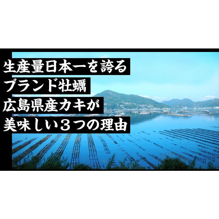 爆買 セール 牡蠣 かき 広島 ますよね 2Lサイズ ジャンボ 広島かき 剥身1kg 正味850g 約30粒 広島産 清浄海域産 生牡蠣 亜鉛 グリコーゲン 個凍 加熱用 | ますよね | 07