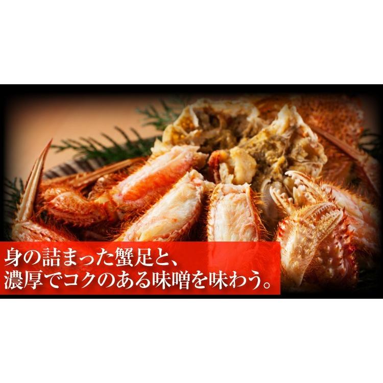数量限定40個 賞味期限12月末 12月20日迄のお届け限定 500円OFFクーポン有 北海道産 毛がに ボイル済 500g前後&times;2 合計1kg 毛ガニ 毛蟹 かに 蟹 海産物 海鮮