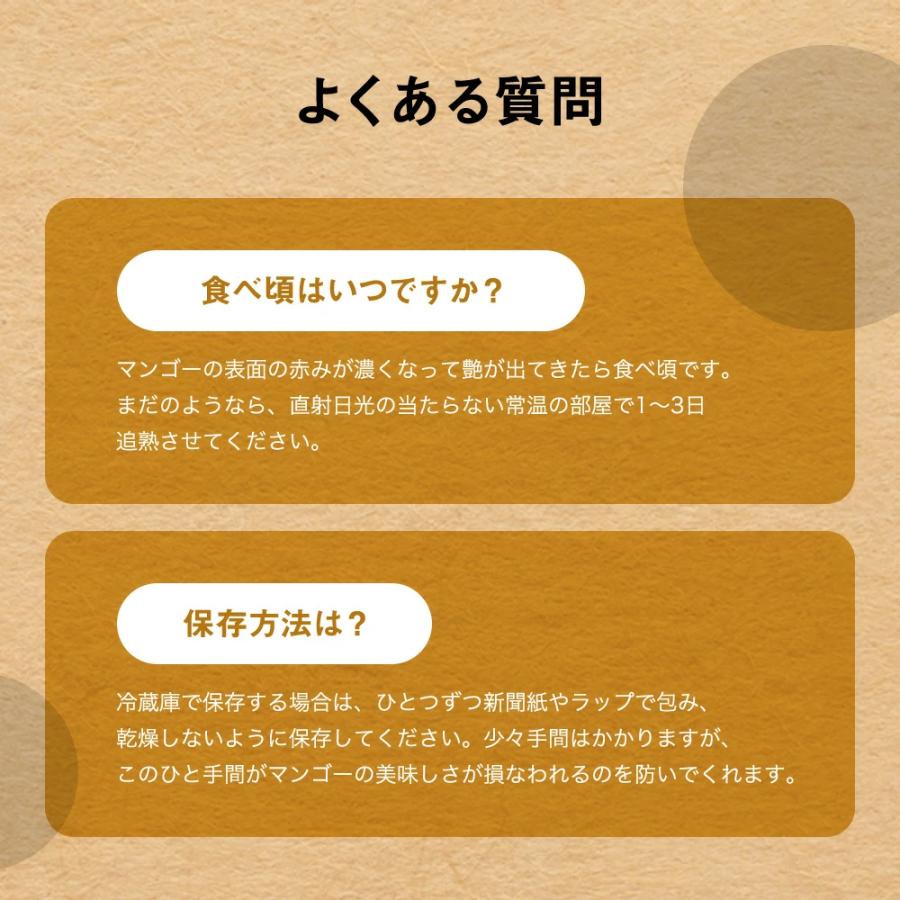 追熟型マンゴー 3品種 常温発送 【総代理店】【オフィシャル】【公式