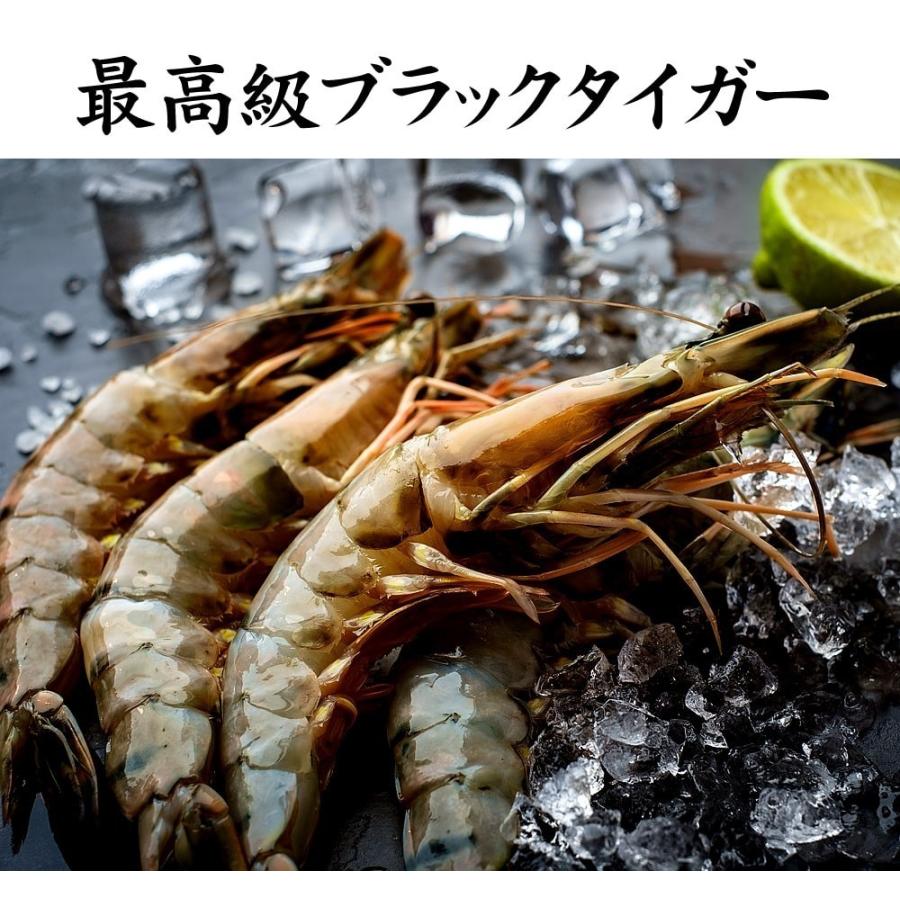 【えび】 おにえび – 有限会社島田水産