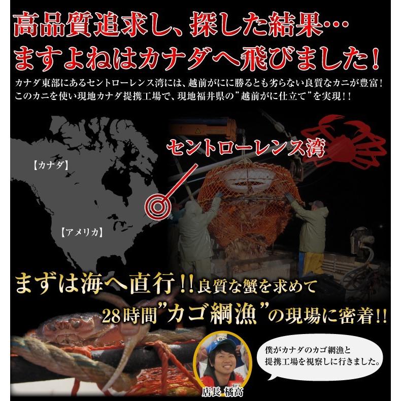 ※一時在庫切れ※ カニ かに ズワイ かにみそ カニ味噌 非再凍結ワンフローズン品　本ズワイ姿3kg(ボイル600gｘ5)　味噌みそミソ 訳あり 冷凍便 送料無料｜masuyone｜14