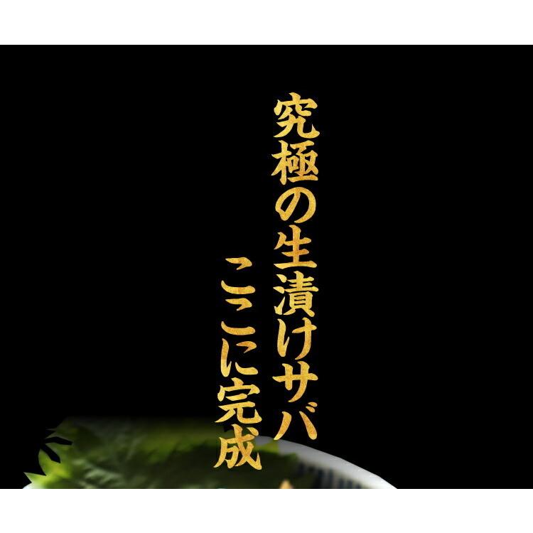 40%OFFクーポン有 ごま鯖 国産 骨取り済 生さば漬け半身5枚 独自タレ サバ さば 鯖 青魚 臭みなし 焼き魚 お刺し身 漬け鯖 漬けさば 刺身 ゴマサバ ギフト 贈答 | ますよね | 12