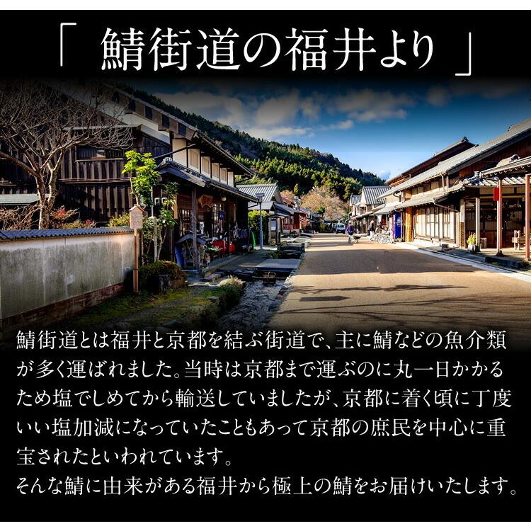 40%OFFクーポン有 ごま鯖 国産 骨取り済 生さば漬け半身5枚 独自タレ サバ さば 鯖 青魚 臭みなし 焼き魚 お刺し身 漬け鯖 漬けさば 刺身 ゴマサバ ギフト 贈答 | ますよね | 06