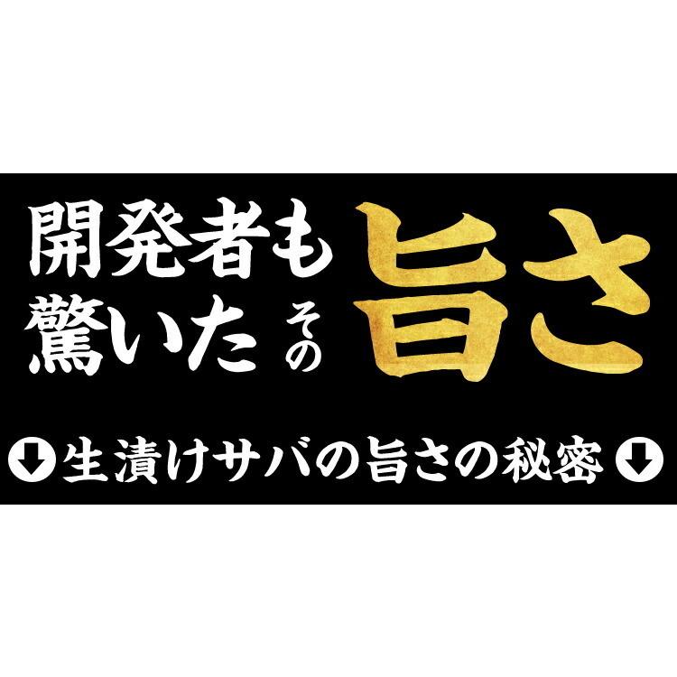 40%OFFクーポン有 ごま鯖 国産 骨取り済 生さば漬け半身5枚 独自タレ サバ さば 鯖 青魚 臭みなし 焼き魚 お刺し身 漬け鯖 漬けさば 刺身 ゴマサバ ギフト 贈答 | ますよね | 09