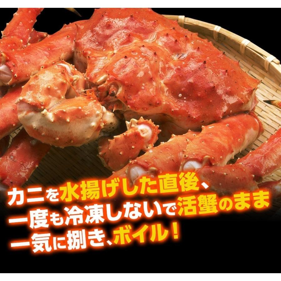 たらば タラバ カニ かに 蟹 500円OFFクーポン有 タラバガニ 脚 タラバ蟹 総重量1kg 正味900g 1肩 2-3人前 船内ボイル冷凍 カニ足 海鮮｜masuyone｜10