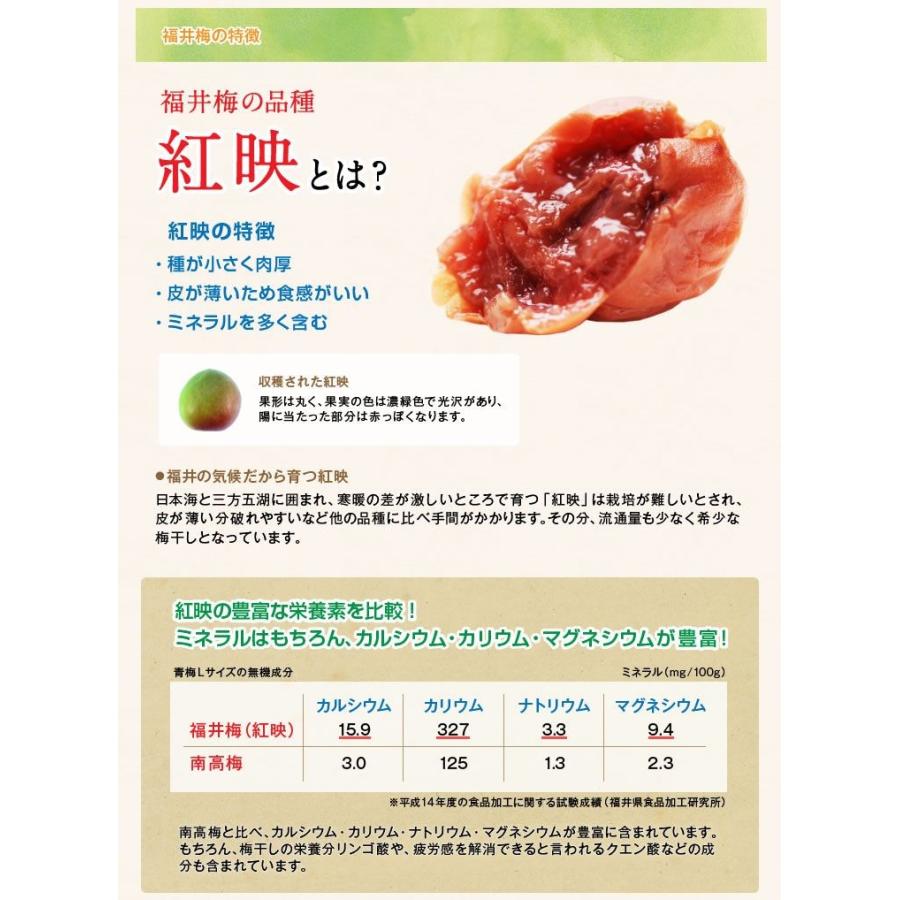 ※在庫切れ※ ※あすつく非対応※ 福井県 特産品 紅映梅使用 お菓子スイーツ感覚の蜂蜜梅干し訳あり500g 塩分8％ はちみつ うめぼし 常温便 送料無料｜masuyone｜04