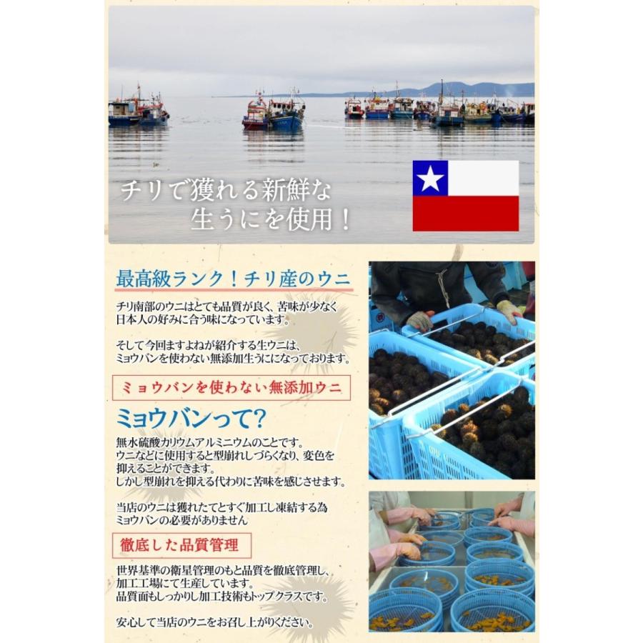 ますよね 賞味期限5月末まで 見切り品期間限定セール うに ウニ 生ウニ 