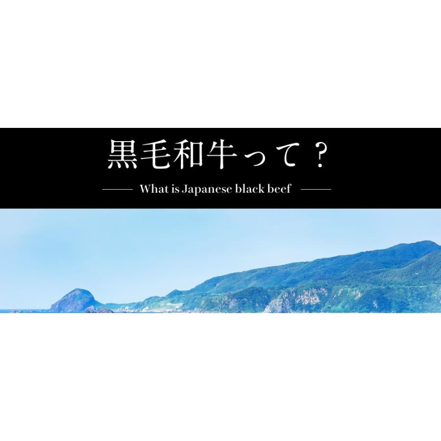 ※在庫切れ※ 牛肉 黒毛 和牛 すき焼き プレミアム会員セール4980円 A5ランク 最高級A5等級 九州黒毛和牛 肩ロース スライス クラシタ500g しゃぶしゃぶ｜masuyone｜07