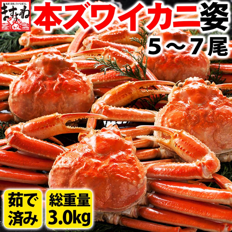カニ かに ズワイガニ 蟹 年末配送OK ますよね 本ずわい蟹姿 ボイル済 5〜7尾 総重量3kg みそ 味噌 同梱不可 ギフト お歳暮
