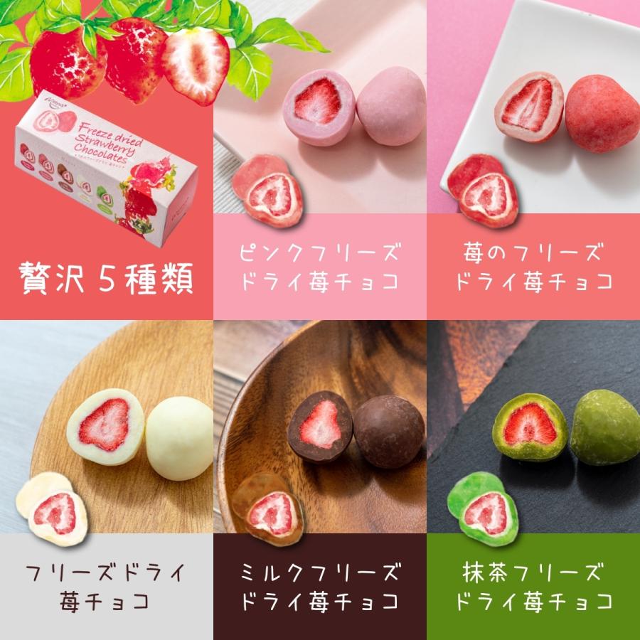 5色のフリーズドライ苺チョコ｜masyuchoco｜02
