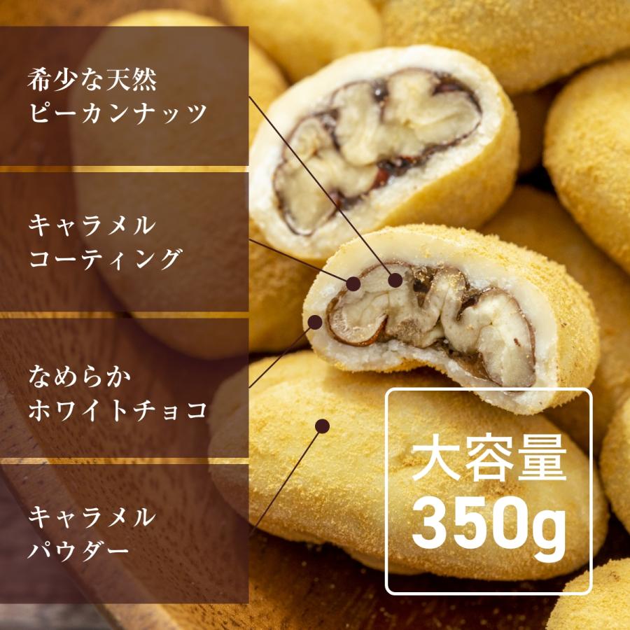 キャラメルピーカンチョコ350g : マシューのチョコレート