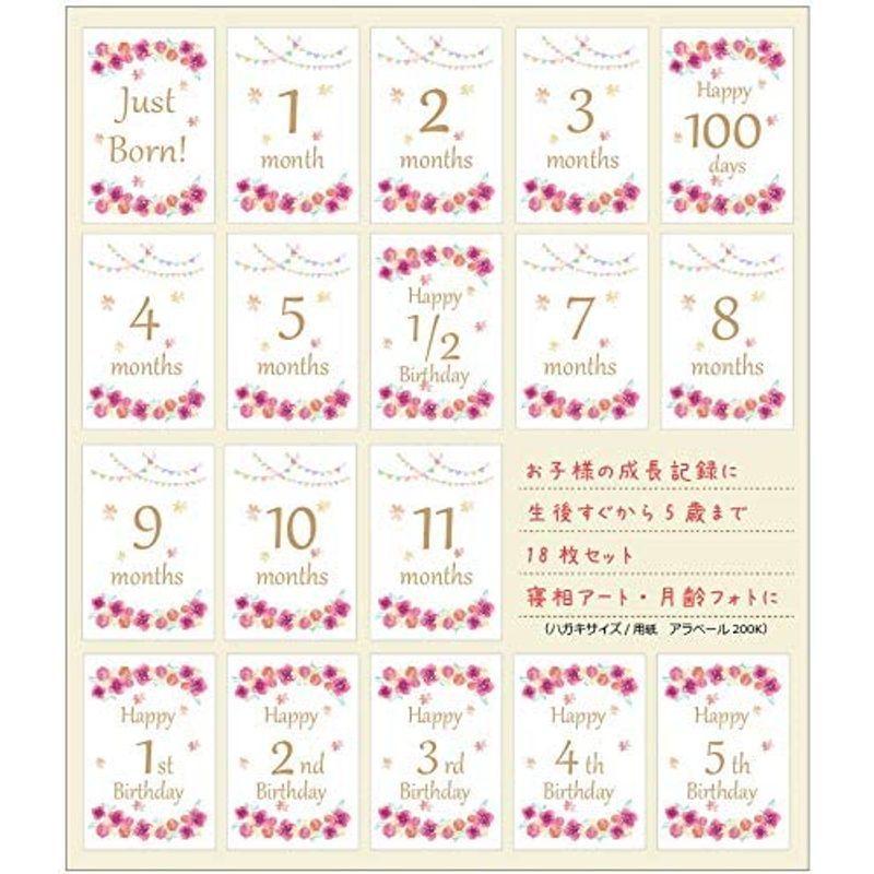 ベビーマンスリーカード 18枚セット(5歳まで)design2(flower)月齢フォト 月齢カード フラワー 成長記録に 記念日 出産祝い vflh11YiGk, プリペイドカード(コード販売) - imsservice.co.id ベビーマンスリーカード 18枚セット(5歳まで)design2(flower)月齢フォト 月齢カード フラワー 成長記録に 記念日 出産祝い vflh11YiGk, プリペイドカード(コード販売) - imsservice.co.id