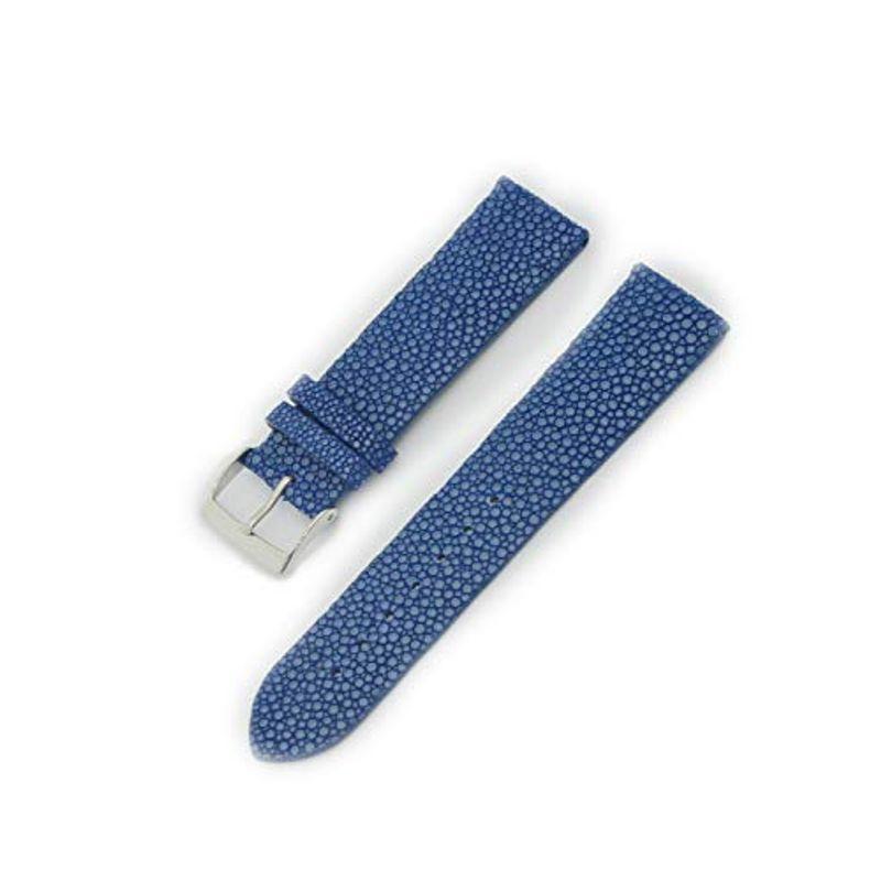 CASSISカシス エイ革 時計ベルト 裏面防水 GALUCHAT CAOUTCHOUC ガルーシャ カウチック 22mm ダークブルー