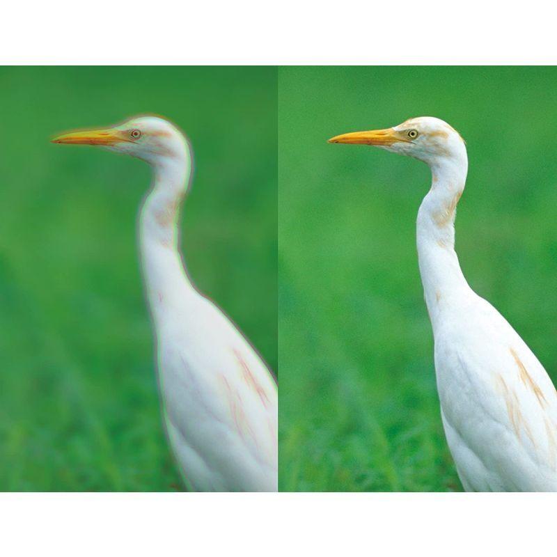 ［即日発送］ Kenko 双眼鏡 Avantar 10×42 ED DH 10倍 42口径 ダハプリズム式 EDレンズ使用 アルミダイキャストボディ AV 【D4532137566】(24786円)