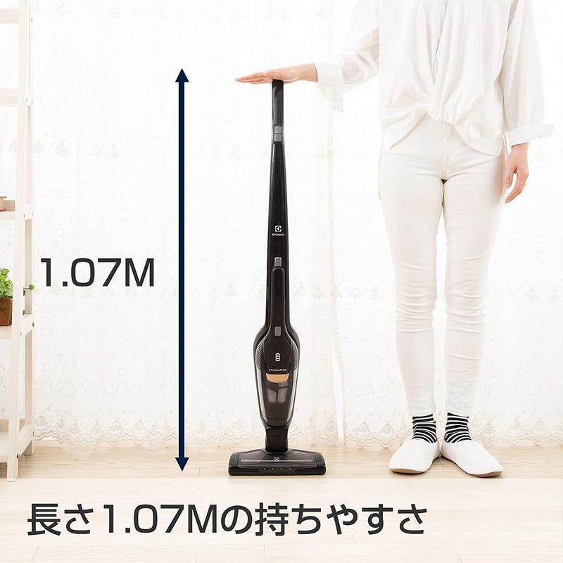 エレクトロラックス コードレス 掃除機 エルゴラピード・リチウム スタンダートモデル サイクロン ハイパワー 軽量 アイロングレー ZB35 コードレス 掃除機 エルゴラピード リチウム スタンダートモデル サイクロン ハイパワー 軽量 アイロングレー ZB35