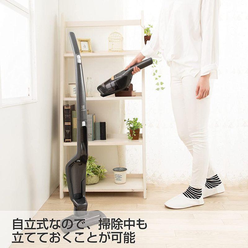 エレクトロラックス コードレス 掃除機 エルゴラピード・リチウム スタンダートモデル サイクロン ハイパワー 軽量 アイロングレー ZB35 コードレス 掃除機 エルゴラピード リチウム スタンダートモデル サイクロン ハイパワー 軽量 アイロングレー ZB35