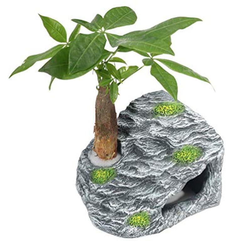 Popetpop 水槽オーナメント 樹脂石 爬虫類 シェルター 亀隠れ家 避け石 登り石 加湿隠す洞窟 人工ツリー 水槽飾り アクアリウム 水槽用石