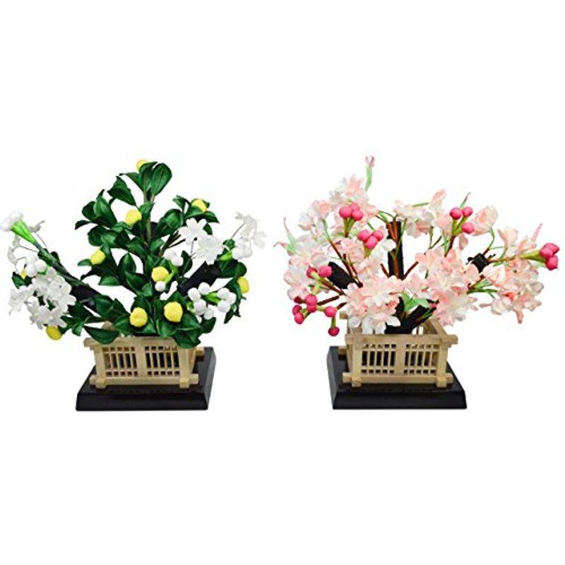 オンラインストア特価 桜橘 優花 30号 ひな祭り用飾り花 日本直送 Ssl Daikyogo Or Jp