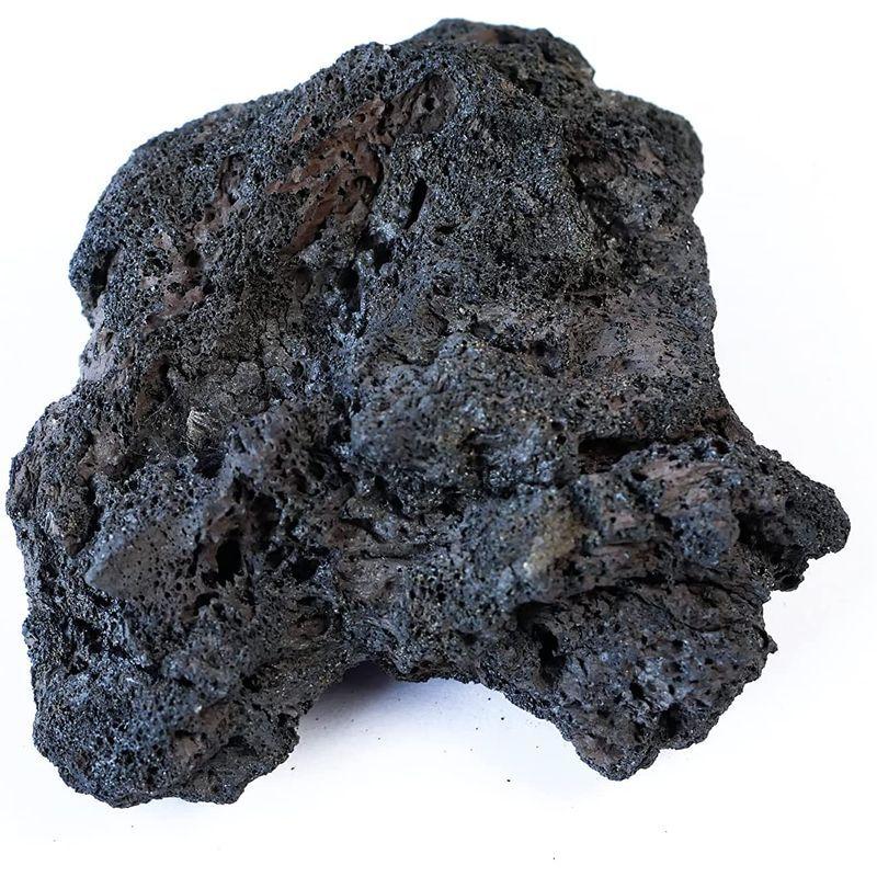 アクアリウム用 極上溶岩石 黒色 Mサイズaquashop Wasabi 水草の活着に最適多孔質のため水質を浄化してくれますアヌビアス ミク 007 Mata Tabi 通販 Yahoo ショッピング