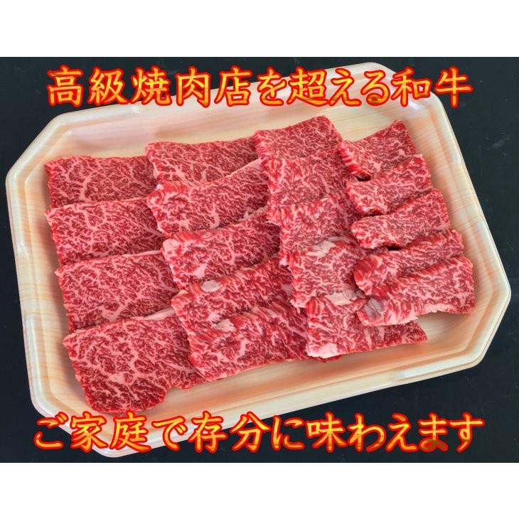 肉 和牛 牛肉 焼肉 最上級A5A4等級 国産黒毛和牛 カルビ焼用500g 焼肉 