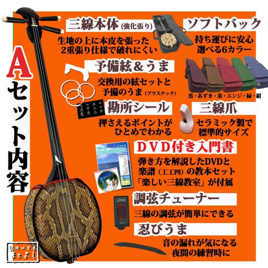 強化張（2重張り） 三線満足入門Aセット DVD付き入門書セット : 琉球 