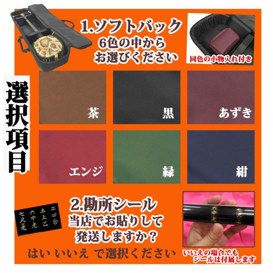 強化張（2重張り） 三線満足入門Aセット DVD付き入門書セット : 琉球