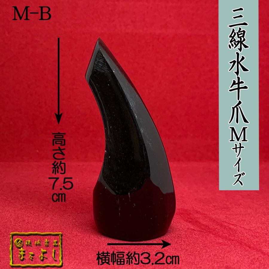 水牛角三線爪　Ｍサイズ　（M-B）｜matayoshi34ten｜02