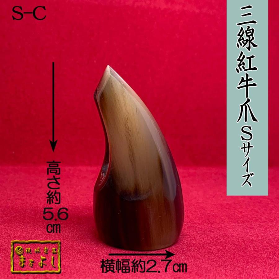 紅牛角三線爪 Ｓサイズ　（S-C）｜matayoshi34ten｜02