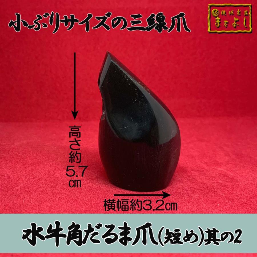 水牛爪 だるま爪短めサイズ 其の2 : 琉球楽器またよし Yahoo!ショップ 