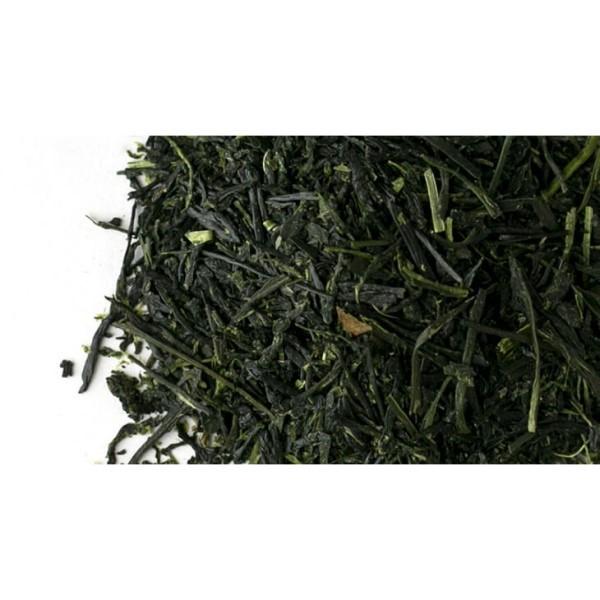 玉露200g缶入・高級煎茶200g缶入 A-125 お歳暮 お茶 緑茶 日本茶 プレゼント 贈り物 ギフト お取り寄せ お土産 帰省土産|matcha|02