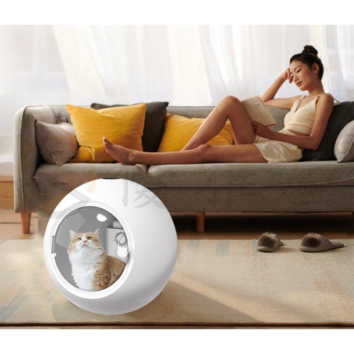 ペット乾燥箱 乾燥ハウス ドライルーム 全自動 自動ドライボール 犬 猫 完全密閉 ドライヤー 600Ｗ 50L 大容量 犬 猫 小型犬用 お風呂後 マイナスイオン 猫 犬 大容量 マイナスイオン