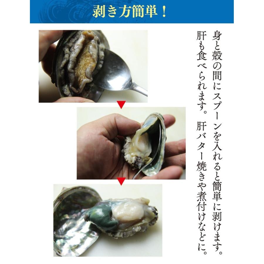 送料無料 高級食材 活あわび 10個 約50g 60g 宮城県 石巻市から活きたまま発送 Awabi 1500 10 街の小さな直売所 通販 Yahoo ショッピング