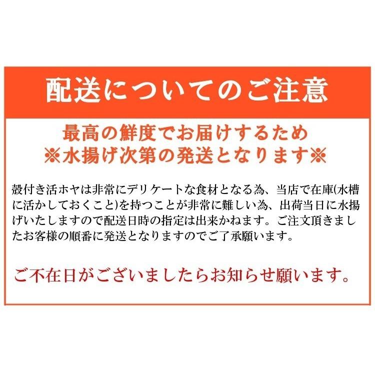 4月20日頃〜出荷予定 三陸産 殻付ほや(生食用)5kg【送料無料】お酒のつまみにピッタリ♪殻ホヤ/海鞘/ホヤ　貝/復興支援【父の日ギフト】｜maticyoku｜10