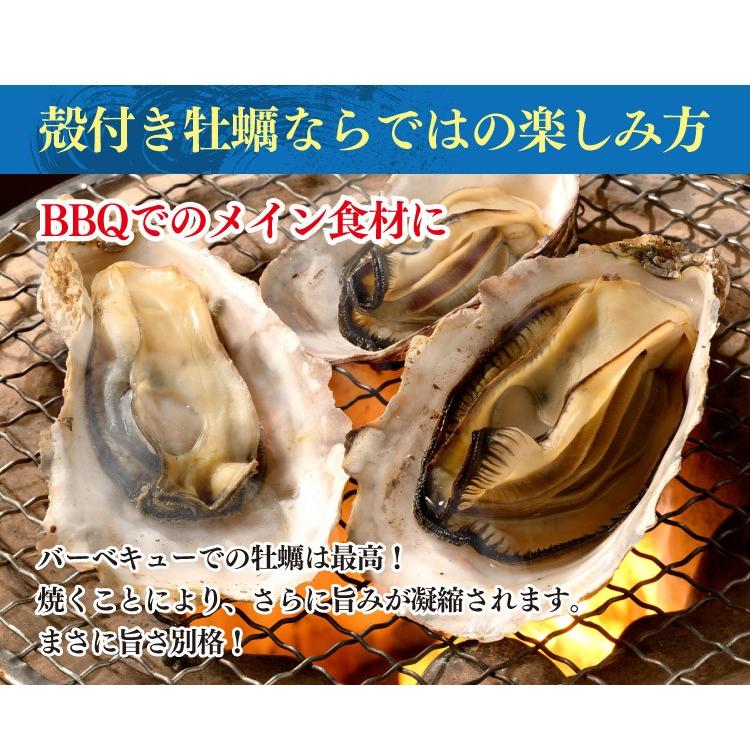 送料無料 宮城県産 殻付き牡蠣30個｜maticyoku｜05