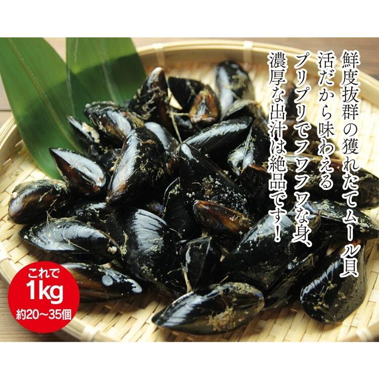 ムール貝5kg M 5 街の小さな直売所 通販 Yahoo ショッピング