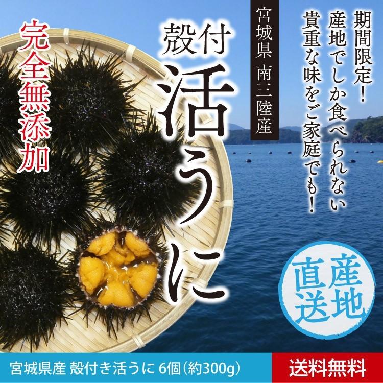 今しか味わえない スプーンで食べたくなる 殻付き活ウニ 6個 約300g 送料無料 Uni 06 街の小さな直売所 通販 Yahoo ショッピング