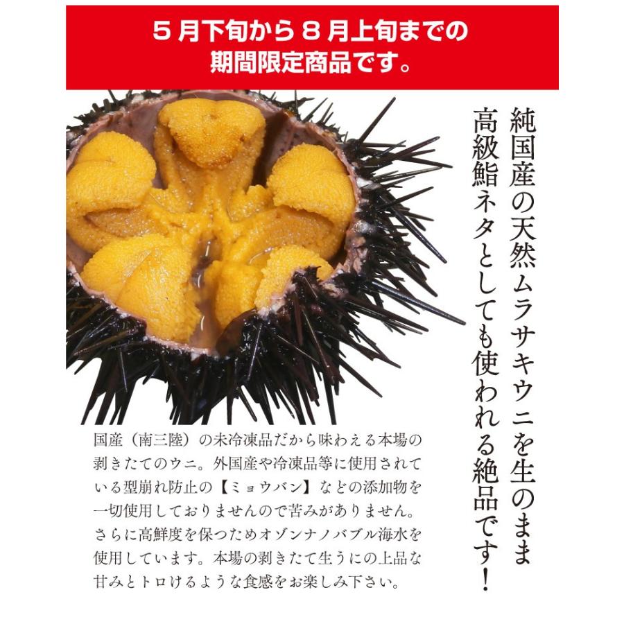 今しか味わえない スプーンで食べたくなる 殻付き活ウニ 6個 約300g 送料無料 Uni 06 街の小さな直売所 通販 Yahoo ショッピング