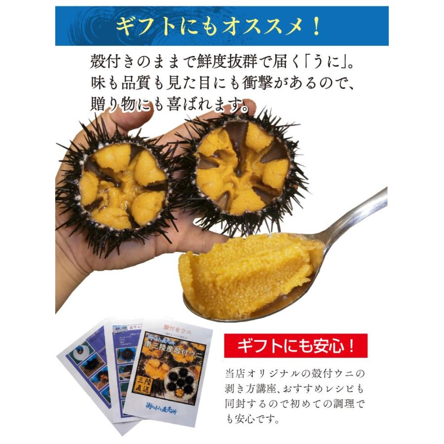 今しか味わえない スプーンで食べたくなる 殻付き活ウニ 6個 約300g 送料無料 Uni 06 街の小さな直売所 通販 Yahoo ショッピング