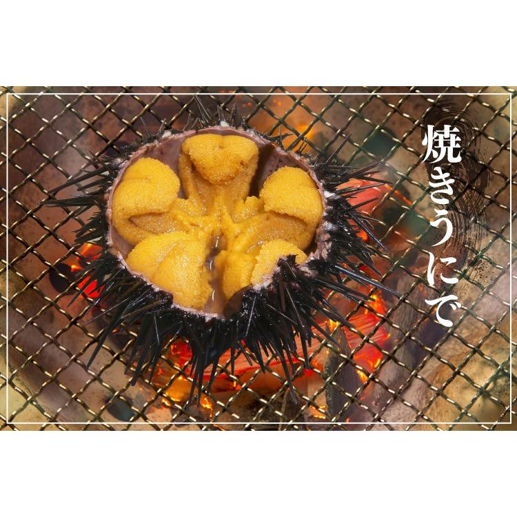 今しか味わえない スプーンで食べたくなる 殻付き活ウニ 6個 約300g 送料無料 Uni 06 街の小さな直売所 通販 Yahoo ショッピング