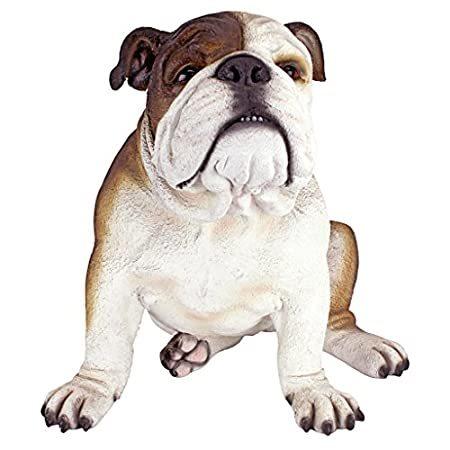 定番の中古商品 Cm Polyresin フルカラー好評販売中 Busterブルドッグ英国装飾庭像 41 特別価格デザインtoscano 輸入品 美術 工芸品 Lncci La
