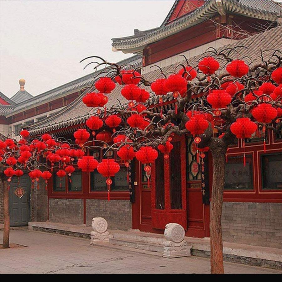 中華提灯 個セット 厚いタイプ 紙ちょうちん 赤 ランタン飾り 細かいハニカム ランタン 正月 新年 装飾 縁起のいい お祭り ショップ Matilda A 通販 Yahoo ショッピング