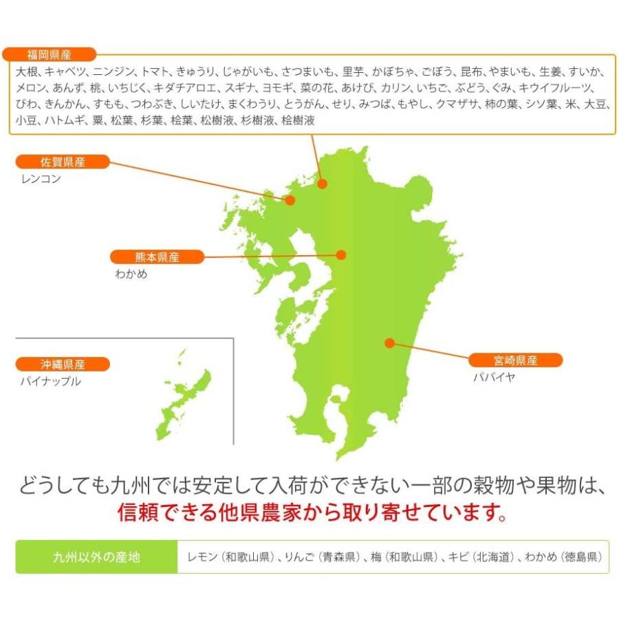 高品質特価品 砂糖不使用 完全無添加 天然熟成野草酵素 原液100 Tmrix 500ml 1本 国産原料 クリアランスお得セール Jeromejack Fr