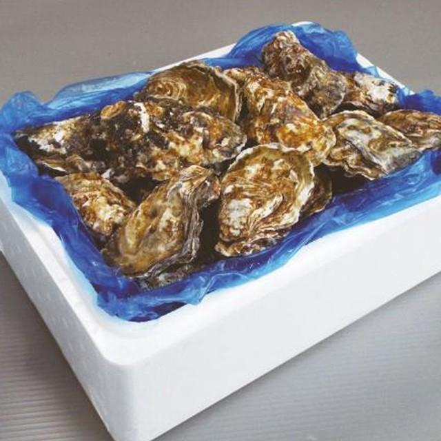 殻付き牡蠣 産地直送 宮城県産 5kg 送料無料 旬 活 かき 牡蠣 生牡蠣