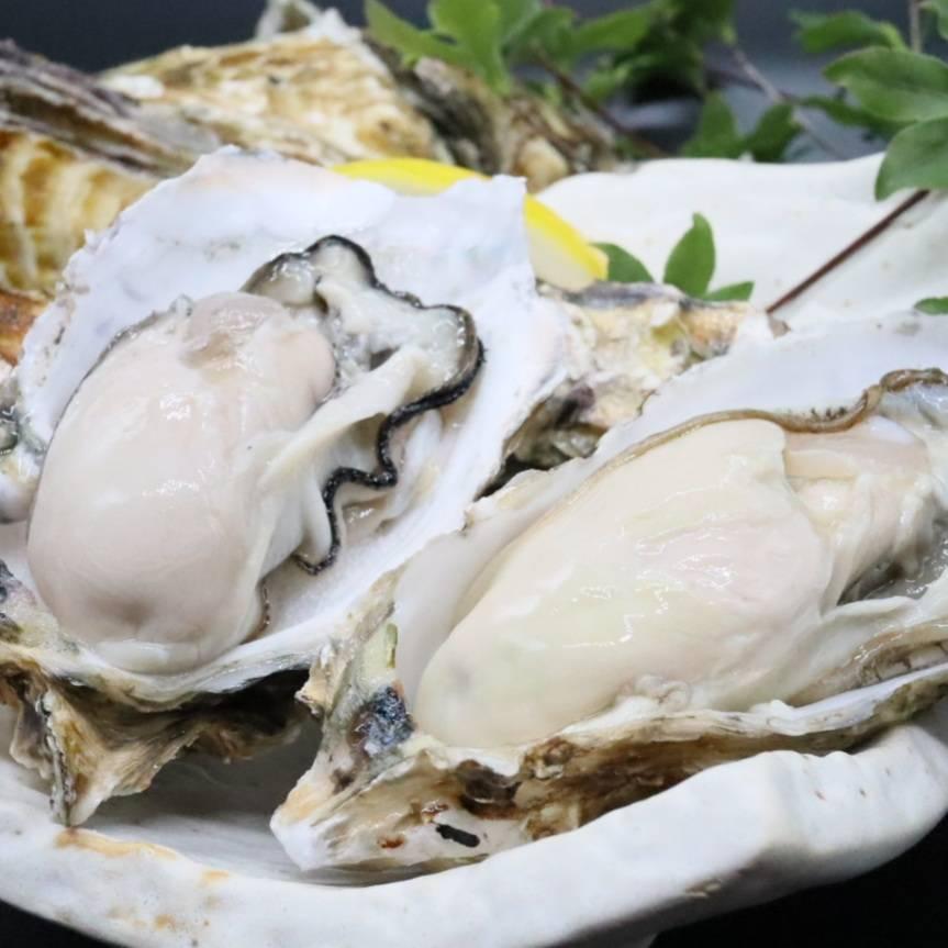 殻付き牡蠣 産地直送 宮城県産 5kg 送料無料 旬 活 かき 牡蠣 生牡蠣