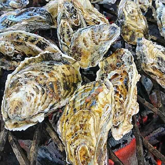 殻付き牡蠣 産地直送 宮城県産 5kg 送料無料 旬 活 かき |  | 04