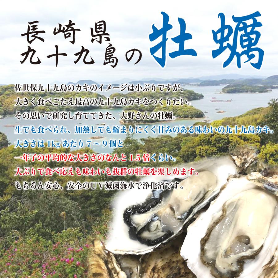 殻付き牡蠣 産地直送 長崎県九十九島産 6kg 生食用 送料無料 旬 活 かき 生ガキ｜matsu-kaki｜03