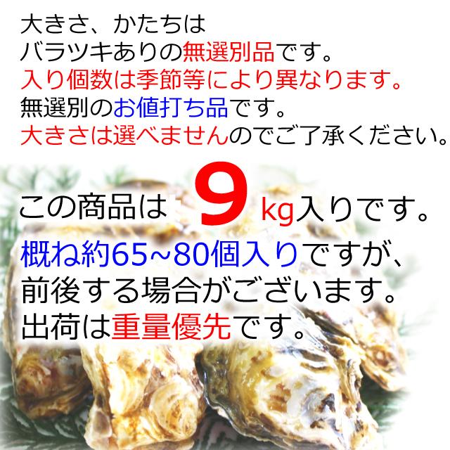 殻付き牡蠣 産地直送 長崎県九十九島産 9kg 生食用 送料無料 旬 活 かき 生ガキ｜matsu-kaki｜02