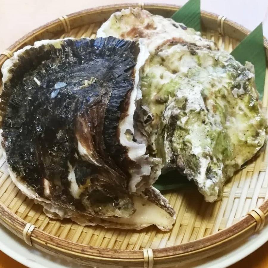 岩牡蠣 殻付き牡蠣 産地直送 長崎県 九十九島産 4kg 大きさ選べます  生食用 送料無料 旬 活 かき 生ガキ 松かき｜matsu-kaki｜05