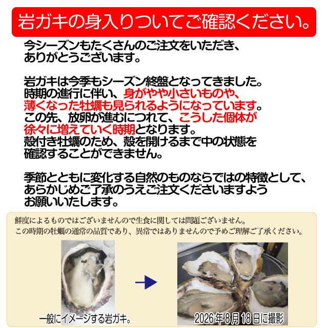 岩牡蠣 殻付き牡蠣 産地直送 長崎県 九十九島産 4kg 大きさ選べます  生食用 送料無料 旬 活 かき 生ガキ 松かき |  | 06