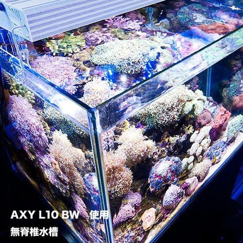 【日本未発売】 アクアシステム AXY L10 300 BW 【D2363654602】(12930円)